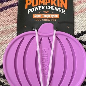 Purple Pumpkin Power Chewer Dog Toy